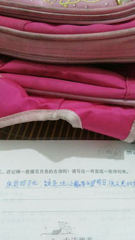 關(guān)于月亮的詩句200字