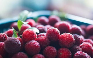 關(guān)于楊梅的古詩句