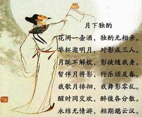 關(guān)于李白玫瑰的詩(shī)句古詩(shī)