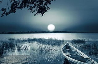 李太白寫過關于月亮的詩句