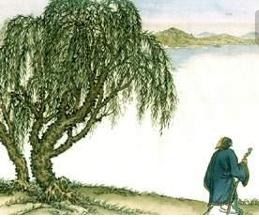 古詩(shī),詩(shī)句,詠柳