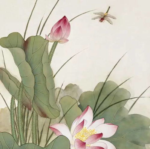 關(guān)于荷花的詩(shī)句有哪些三年級(jí),小學(xué)關(guān)于荷花的詩(shī)句有哪些,描寫(xiě)荷花的詩(shī)句有哪些