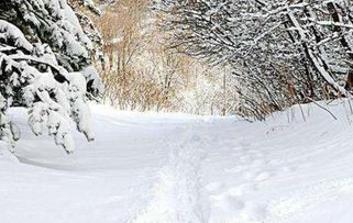 詩句,下雪,描寫,冬天