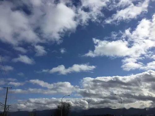 詩句,云淡,形容,性格