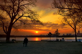 思鄉(xiāng),詩句