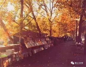 秋天落葉落了的詩(shī)句古詩(shī)詞