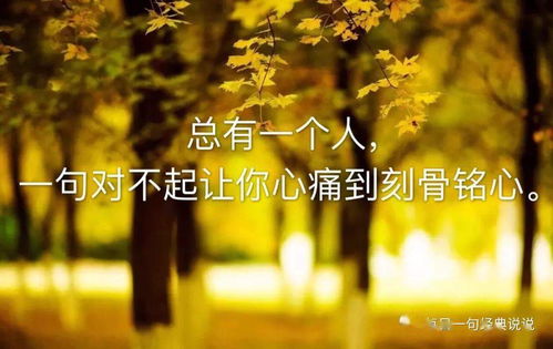 關(guān)于無言之美的詩句