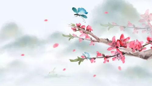 形容君子美好的詩(shī)句,形容君子美好品德的詩(shī)句,形容君子高潔美好的詩(shī)句