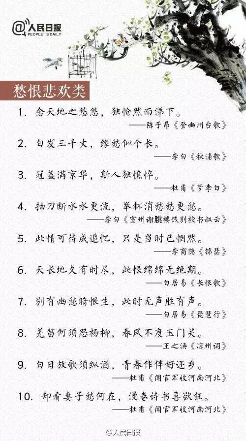 有古詩句作文怎么寫