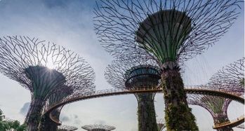 詩經(jīng)里關(guān)于平字的詩句