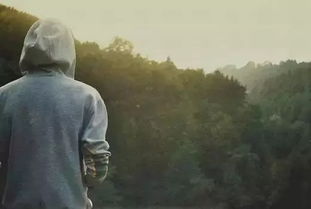 詩句,感慨,愛情