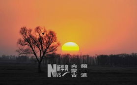 關(guān)于塞北落日詩句