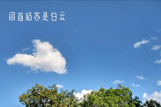 關(guān)于蘇州的古詩詩句