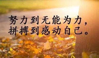 好心態(tài)正能量古詩句