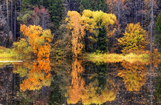 的詩(shī),句子,下雨,秋天