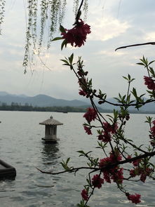 西湖,詩句,天游,于春