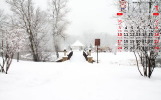 諺語,詩句,于雪