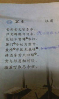 關于同問的詩句