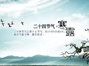 現(xiàn)代關(guān)于節(jié)氣的詩句