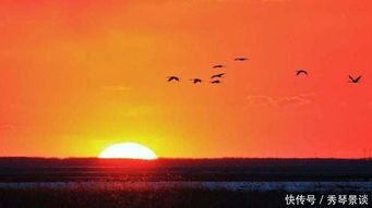 認(rèn)同古詩句