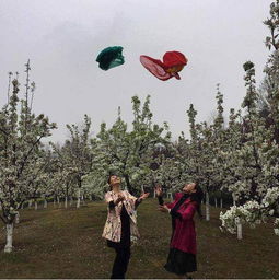 關(guān)于春枝的詩句