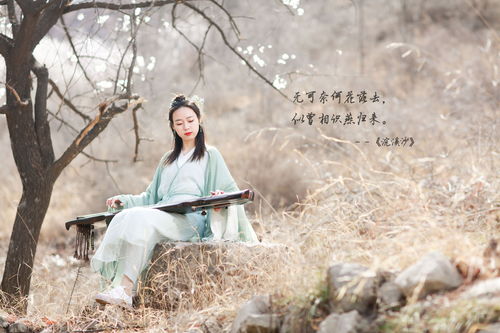 感慨時間的詩句的古詩詞