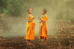 表達不后悔的古詩句6