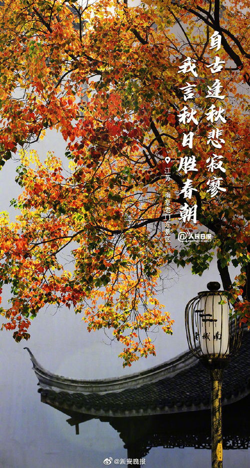 秋景,古詩詞,江南,詩句