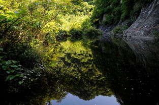 關(guān)于山青水秀的詩句