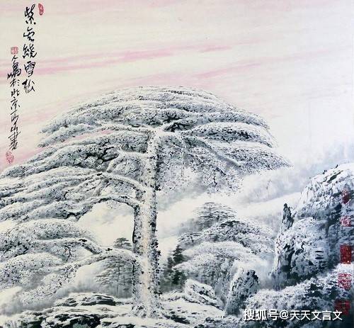 描寫松樹和雪的詩句,松樹掛雪的詩句,松樹在雪中挺拔的詩句
