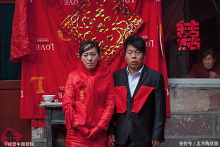 闡述愛情的句子(闡述愛情的句子)