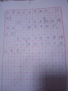 寒假計劃作文的開頭