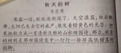 含名言或詩句的作文開頭