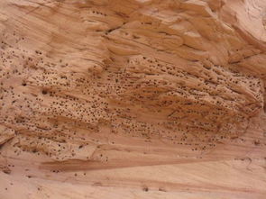 千里之堤毀于蟻穴作文開頭