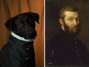 我與狗狗為友作文開頭