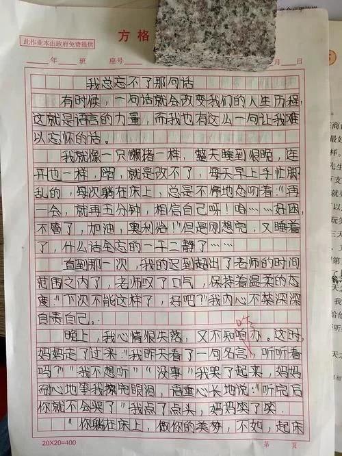 忘不了的身影同學作文開頭