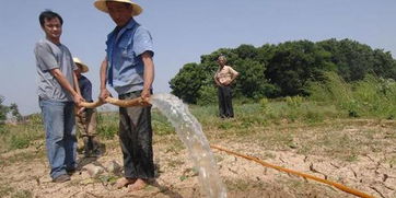 關于撥款抗旱的請示(解決抗旱資金的請示)