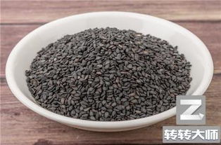 因平凡而自豪作文開頭