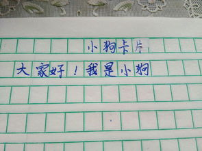 寫狗的作文300字開頭