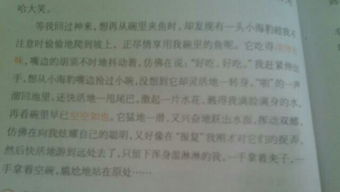 拒絕后的收獲1000字作文開頭