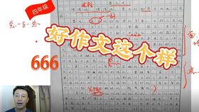 一個(gè)特別的春節(jié)作文開(kāi)頭