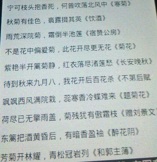 有關于菊花古詩開頭的作文