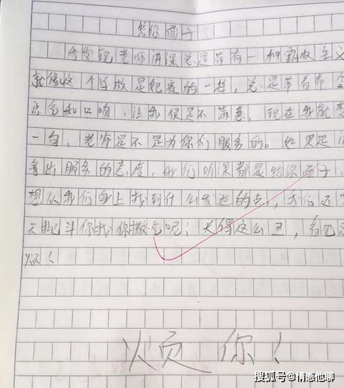小學(xué)生不理解父母作文開頭
