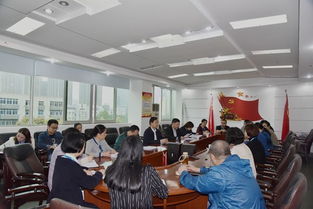 保安核查整改報告(檔案核查整改情況報告)