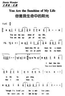 你是我生命里的陽(yáng)光作文開(kāi)頭結(jié)尾