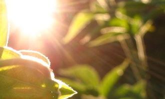 有關(guān)那一刻我長大了的作文開頭結(jié)尾