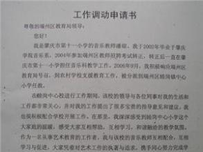 工作調(diào)整申請報告范文(工作調(diào)整申請報告)