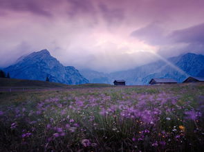 寫自然美景的作文開頭