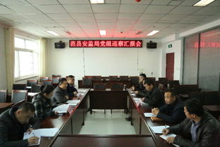 巡察工作報告(巡察工作報告)