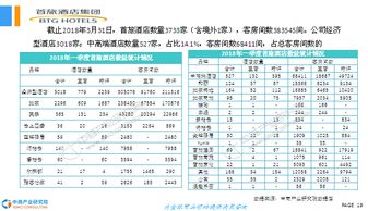 酒店市場調查報告(酒店市場調查報告)